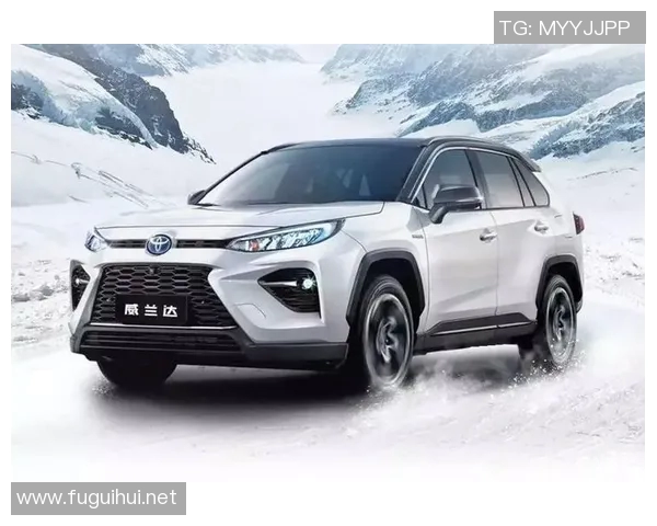 杭州足球队在洲际杯积分榜上以90分稳居第一名展现强劲实力 杭州足球队在洲际杯积分榜上以90分稳居第一名展现强劲实力