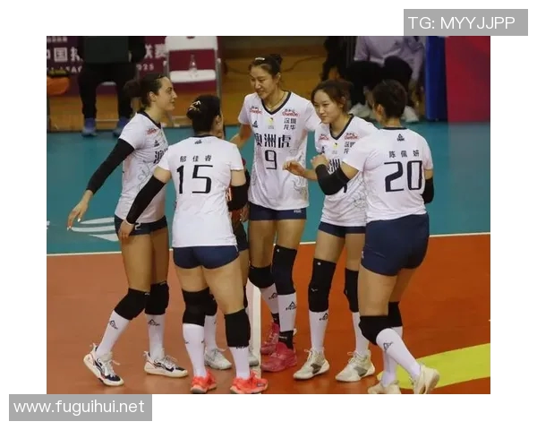 深圳排球队实力强劲荣登全国排球实力排行榜第四名