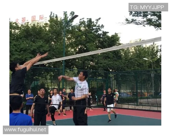 武汉排球队的崛起之路：揭秘他们的训练与比赛状态