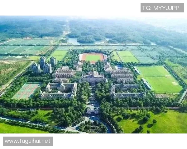 梅森简介：从青训新星到足球场上的璀璨明星之路