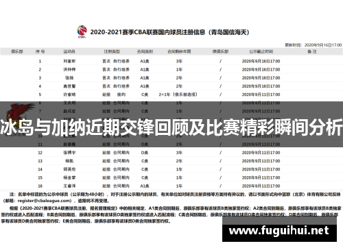 冰岛与加纳近期交锋回顾及比赛精彩瞬间分析